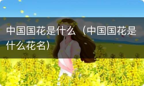 中国国花是什么（中国国花是什么花名）