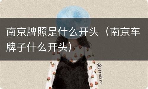 南京牌照是什么开头（南京车牌子什么开头）