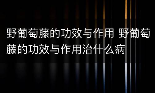 野葡萄藤的功效与作用 野葡萄藤的功效与作用治什么病