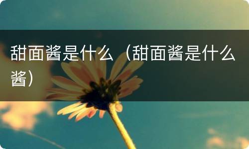 甜面酱是什么（甜面酱是什么酱）