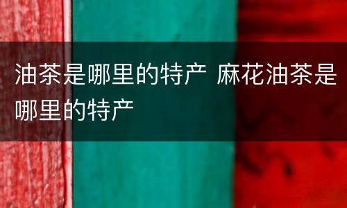 油茶是哪里的特产 麻花油茶是哪里的特产
