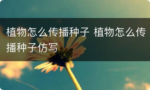 植物怎么传播种子 植物怎么传播种子仿写