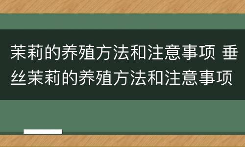 茉莉的养殖方法和注意事项 垂丝茉莉的养殖方法和注意事项