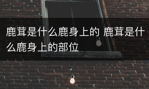 鹿茸是什么鹿身上的 鹿茸是什么鹿身上的部位