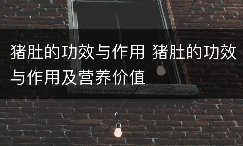 猪肚的功效与作用 猪肚的功效与作用及营养价值