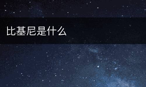 比基尼是什么