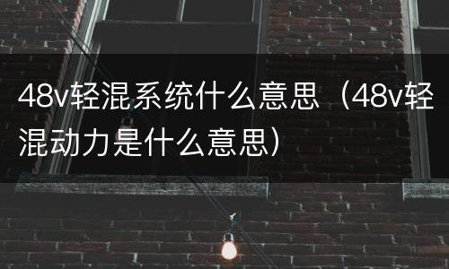 48v轻混系统什么意思（48v轻混动力是什么意思）