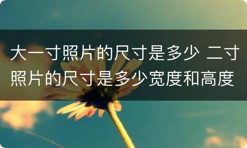 大一寸照片的尺寸是多少 二寸照片的尺寸是多少宽度和高度