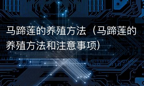 马蹄莲的养殖方法（马蹄莲的养殖方法和注意事项）