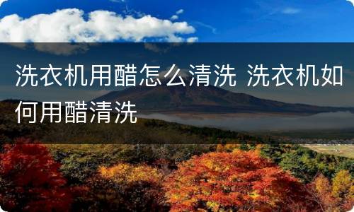 洗衣机用醋怎么清洗 洗衣机如何用醋清洗