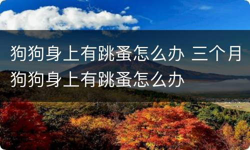 狗狗身上有跳蚤怎么办 三个月狗狗身上有跳蚤怎么办