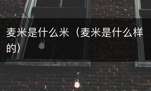 麦米是什么米（麦米是什么样的）