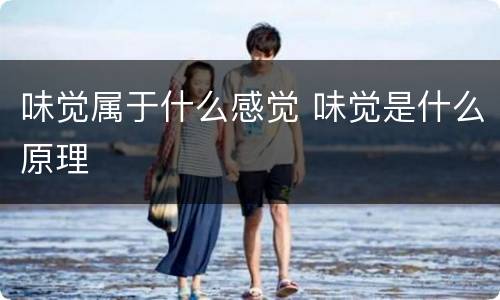 味觉属于什么感觉 味觉是什么原理
