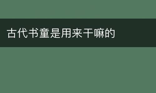古代书童是用来干嘛的