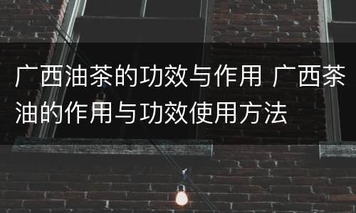 广西油茶的功效与作用 广西茶油的作用与功效使用方法
