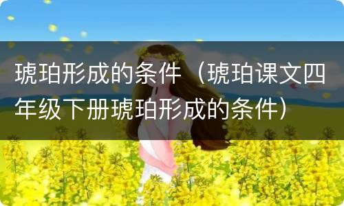 琥珀形成的条件（琥珀课文四年级下册琥珀形成的条件）
