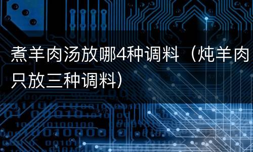 煮羊肉汤放哪4种调料（炖羊肉只放三种调料）