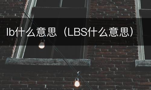 lb什么意思（LBS什么意思）