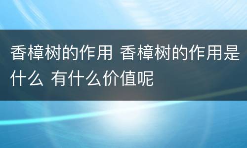 香樟树的作用 香樟树的作用是什么 有什么价值呢
