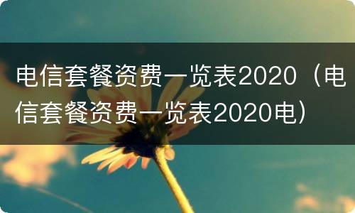 电信套餐资费一览表2020（电信套餐资费一览表2020电）