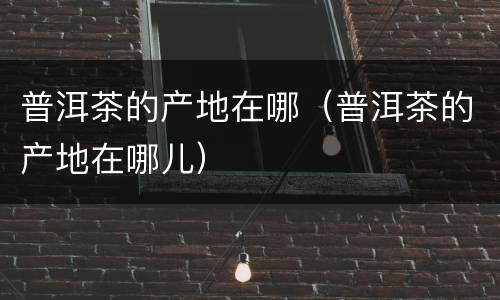 普洱茶的产地在哪（普洱茶的产地在哪儿）