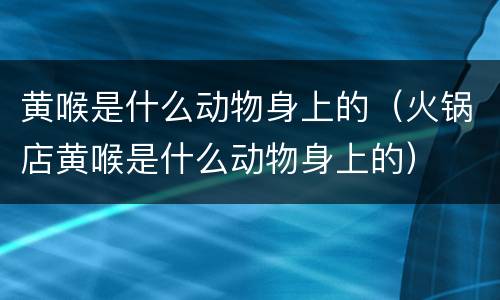 黄喉是什么动物身上的（火锅店黄喉是什么动物身上的）