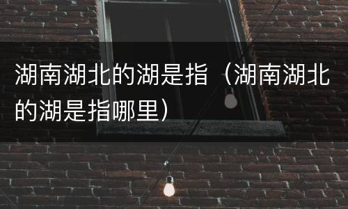 湖南湖北的湖是指（湖南湖北的湖是指哪里）