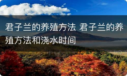君子兰的养殖方法 君子兰的养殖方法和浇水时间
