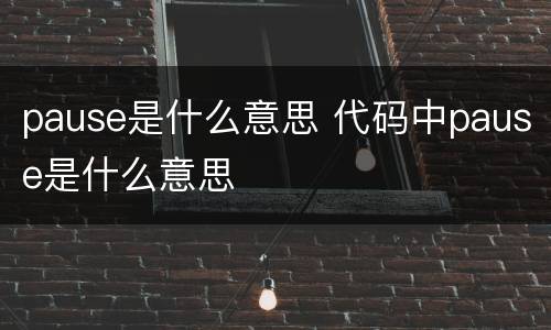 pause是什么意思 代码中pause是什么意思