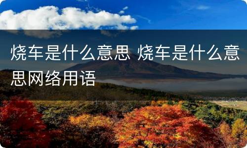 烧车是什么意思 烧车是什么意思网络用语