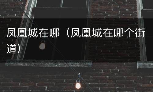 凤凰城在哪（凤凰城在哪个街道）