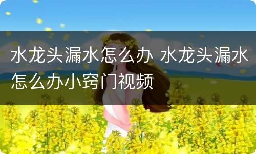 水龙头漏水怎么办 水龙头漏水怎么办小窍门视频
