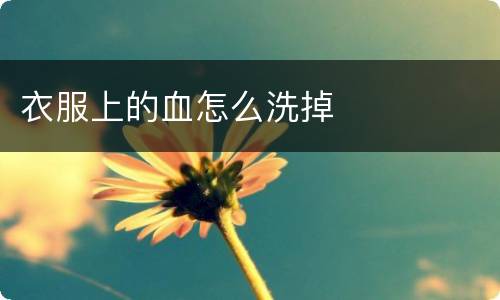 衣服上的血怎么洗掉