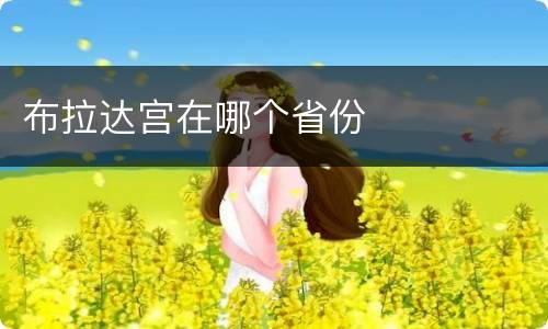 布拉达宫在哪个省份