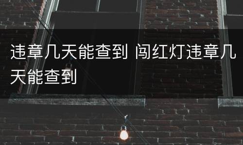 违章几天能查到 闯红灯违章几天能查到
