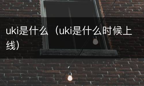 uki是什么（uki是什么时候上线）