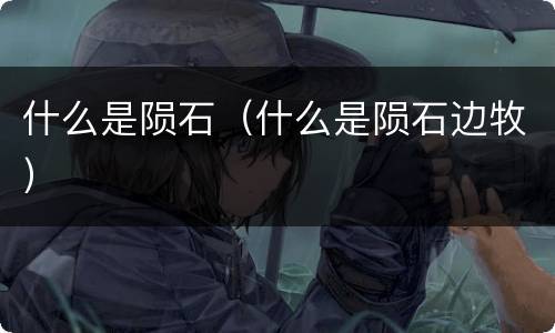 什么是陨石（什么是陨石边牧）