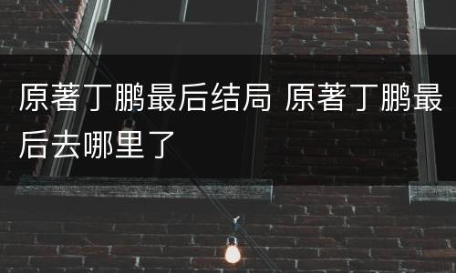 原著丁鹏最后结局 原著丁鹏最后去哪里了
