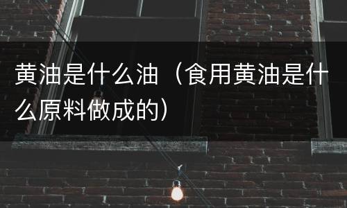 黄油是什么油（食用黄油是什么原料做成的）