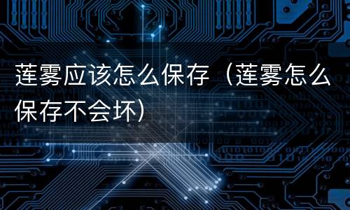 莲雾应该怎么保存（莲雾怎么保存不会坏）