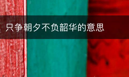 只争朝夕不负韶华的意思