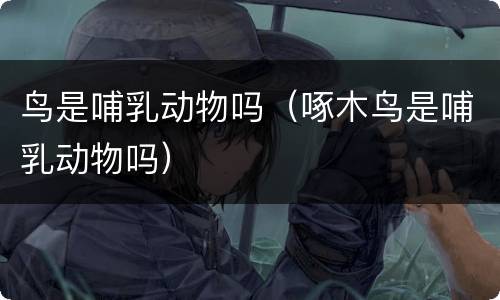 鸟是哺乳动物吗（啄木鸟是哺乳动物吗）