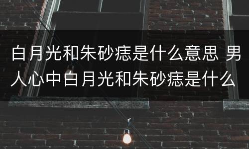 白月光和朱砂痣是什么意思 男人心中白月光和朱砂痣是什么意思