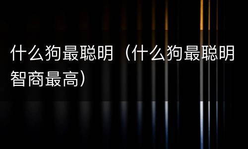 什么狗最聪明（什么狗最聪明智商最高）