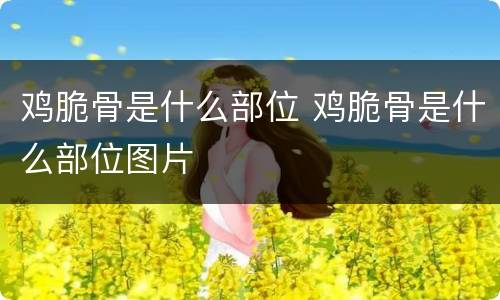 鸡脆骨是什么部位 鸡脆骨是什么部位图片