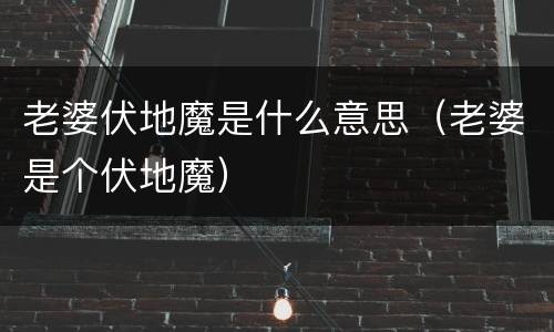 老婆伏地魔是什么意思（老婆是个伏地魔）
