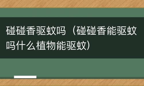碰碰香驱蚊吗（碰碰香能驱蚊吗什么植物能驱蚊）