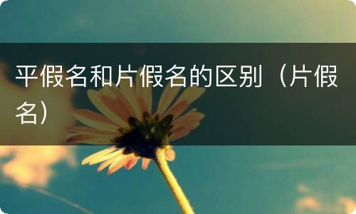 平假名和片假名的区别（片假名）