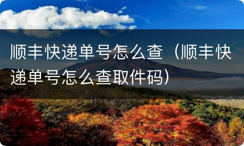 顺丰快递单号怎么查（顺丰快递单号怎么查取件码）