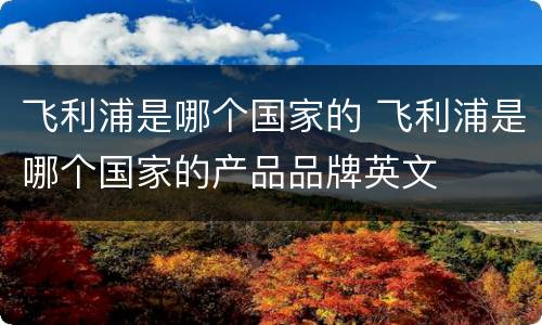 飞利浦是哪个国家的 飞利浦是哪个国家的产品品牌英文
